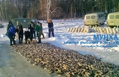 Фляга с гравировкой Болен рыбалкой, лечиться не буду - купить с доставкой  по выгодным ценам в интернет-магазине OZON (1166706522)