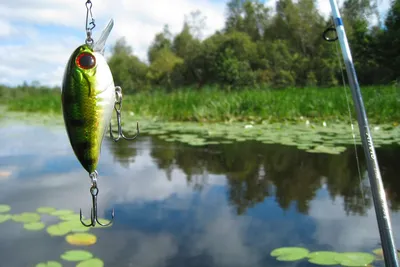 Рыбалка в Астрахани недорого | Рыбалка в ВЕРХНЕЛЕБЯЖЬЕ FISH RESORT на Волге