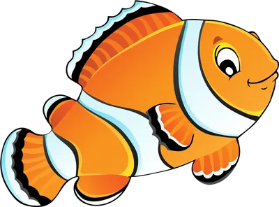 Рыбы с названиями для детей: морские, речные, хищные