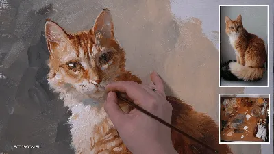 Толстый рыжий кот из популярных интернет-мемов живет в Петербурге - 