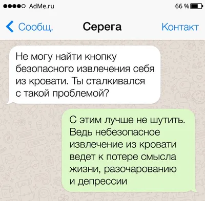 Подарок на Новый Год. Новогодний шоколад с сарказмом "С НГ Короче". Сюрприз  бокс с приколом друзьям и близким - купить с доставкой по выгодным ценам в  интернет-магазине OZON (1342555082)