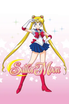 Sailor Moon (TV Series 1995–2000) - Plot - IMDb