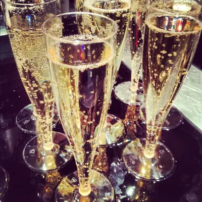 Бокал для шампанского 210 мл, Celebration — купить выгодно в Al-group