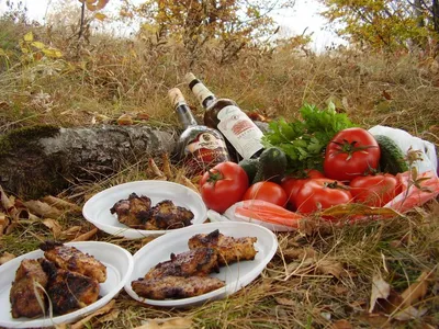 Что-то в день погожий на природу захотелось, подышать свежим коньяком и  шашлыком..:) :: Андрей Заломленков – Социальная сеть ФотоКто