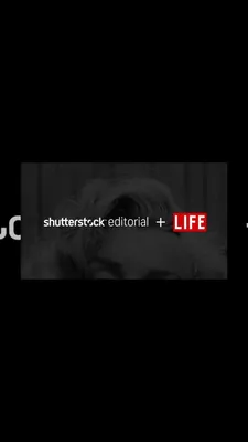 Shutterstock Named Official House Photographer and Leadership Sponsor of  2024 Sundance Film Festival