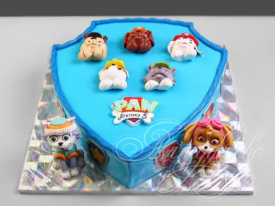 Купить Сухой шоколадный завтрак Щенячий патруль Paw Patrol Dolci Preziosi  300 г в Украине ᐉ Цены, отзывы, характеристики | Интернет-магазин Gurman  House