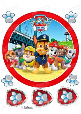 Игровой набор paw patrol "Щенячий Патруль. Гончик" - Магазин игрушек -  Фантастик