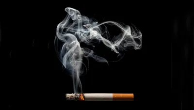 Исследование израильских учёных: качество фильтра сигарет влияет на вред от  курения