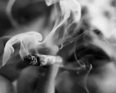 Живи без сигаретного дыма (12 мифов и реальность) | Доктор у руля | Дзен