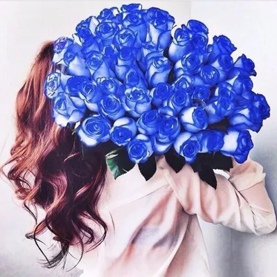 Лилии с синими розами