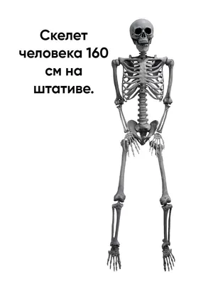 Монахиня танцует со скелетами рядом с кладбищем | ПОЛИМАТ. Универсальный  человек | Дзен