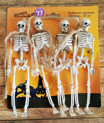 Декор на Хэллоуин со Скелетами - Форум Магазина Мастеров
