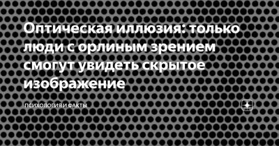 Полка со скрытым креплением 595х235х38 мм белая крепление в комплекте  купить недорого в интернет-магазине товаров для хранения Бауцентр