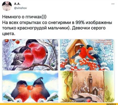 А.А. Немного о птичках))) На всех открытках со снегирями в 99% изображены  только красногрудой мал / твиттер :: снегирь :: интернет :: птицы / смешные  картинки и другие приколы: комиксы, гиф анимация, видео, лучший  интеллектуальный юмор.