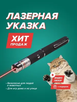 Kitten | Милые котики, Обои с собаками, Котята