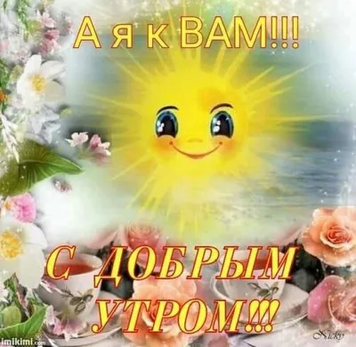 Доброе утро! Пусть ваш день будет успешным, солнечным и добрым! - Лента  новостей ДНР