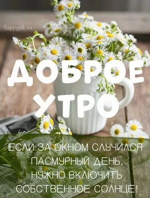 Картинка: "Доброе утро! Солнце уже встало и пора любоваться его лучами..."  • Аудио от Путина, голосовые, музыкальные