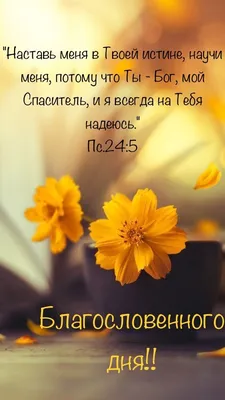 Рождество: 7 замечательных стихов из Библии | Христианин в Краснодаре | Дзен