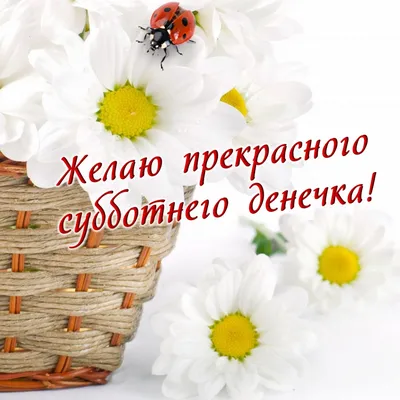 Доброе утро! Кофе для тебя! 🌹☕🌹 | Доброе утро, Смешные таблички,  Счастливые картинки