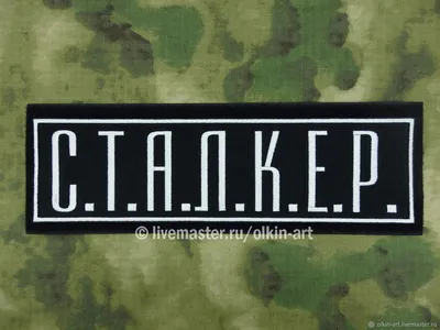 Сталкер. С.Т.А.Л.К.Е.Р Stalker S.T.A.L.K.E.R | Постапокалипсис,  Апокалипсис, Чернобыль