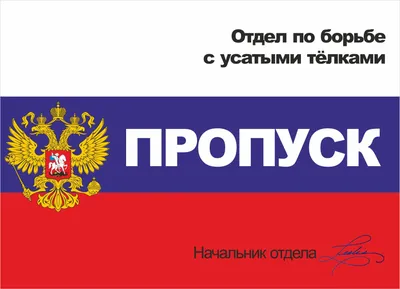 Автолюбитель установил себе пропуск на авто «Отдел по борьбе с усатыми  телками», - читатель (фото)