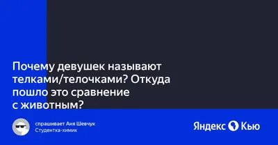 Рамка номерного знака с надписью "Отдел по борьбе с усатыми телками", 1  штука купить по цене 300 ₽ в интернет-магазине KazanExpress