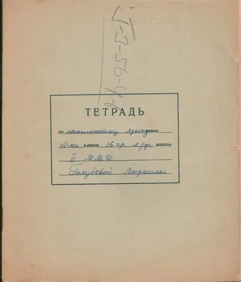 Тетрадь для записей со сменным блоком с 4 разделителями (на кольцах) А5,  240 л Арт. ТК240_27844, ArtSpace - «Отличная тетрадь на все предметы 👍» |  отзывы