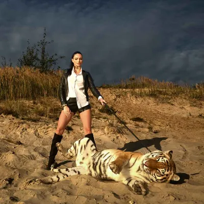 Картина по номерам Strateg ПРЕМИУМ Девушка с белым тигром с лаком и уровнем  размером 40х50 см VA-2643 купить в Украине, по цене от производителя Strateg