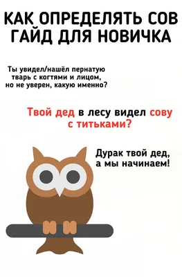 Негритянка со сладкими титьками оборачивается на каблуках большую голую  попку, фото #2