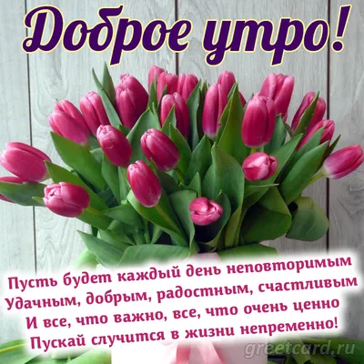 Доброе утро. Пожелание открытка с добрым утром. | Доброе утро, Открытки,  Тюльпаны