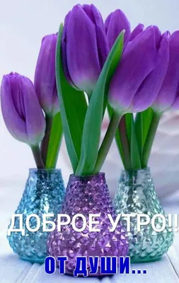 Pin de bos en доброе утро | Tulipanes en florero, Flores bonitas, Flores  tulipanes