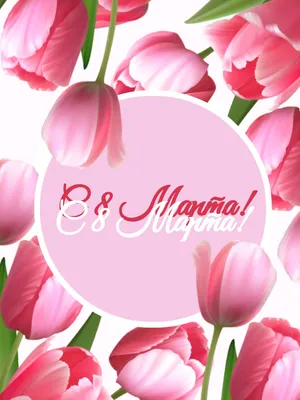 Блог "Разноцветный мир": 8 марта, или День тюльпанов