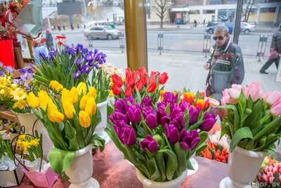 Торт с тюльпанами на 8 марта (36) - купить на заказ с фото в Москве