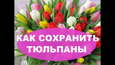 Подарки на 8 марта: мини-конверт с тюльпанами. Мыло ручной работы в  интернет-магазине Ярмарка Мастеров по цене 650 ₽ – SIN6OBY | Подарки на 8  марта, Москва - доставка по России