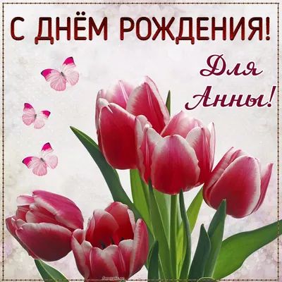 Открытки с тюльпанами на день рождения ~ Все пожелания и поздравления на  сайте Праздникоff