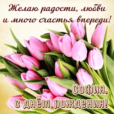Фрезии с фиолетовыми тюльпанами в букете за 18 090 руб. | Бесплатная  доставка цветов по Москве