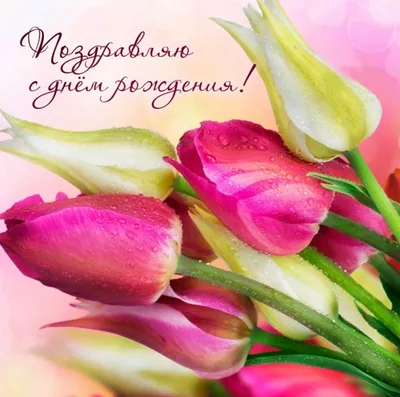 Картинка на День рождения с яркими тюльпанами - поздравляйте бесплатно на  