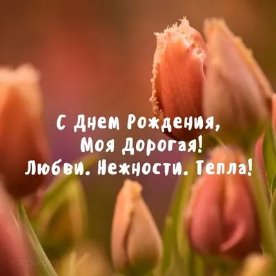 Купить Букет из 51 тюльпана Сиреневые пионовидные на сайте магазина  Цветочный Рай в Новороссийске