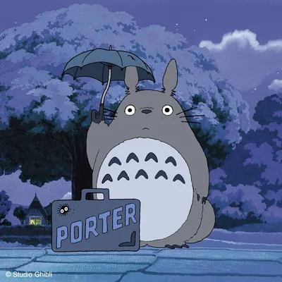 100+] Totoro Wallpapers | 