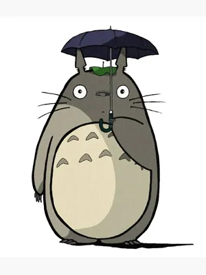 All the Totoro Secrets You Need to Know – Blippo