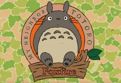 Flying Totoro appears in new Studio Ghibli x Foxfire collection |  SoraNews24 -Japan News-