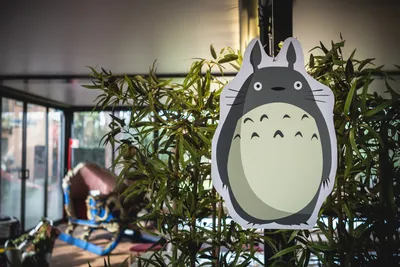 My Neighbor Totoro | Japanese Anime Wiki | Fandom