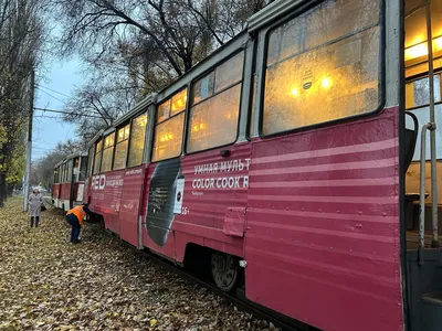 Власти Новокузнецка закупят вредные для экологии дизельные автобусы из-за  проблем с транспортом: почему, подробности -  - 