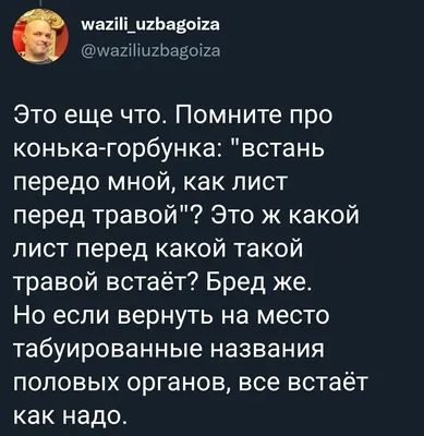 Рекомендации по уходу за газоном и искусственной травой - ИнтерЭко