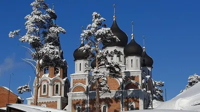 Православный церковный старообрядческий календарь на 2018 год: праздники и  посты по дням