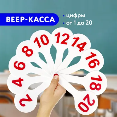 Касса (веер) цифры от 1 до 20