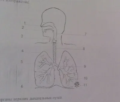 С днём рождения на 11 лет - анимационные GIF открытки - Скачайте бесплатно  на 