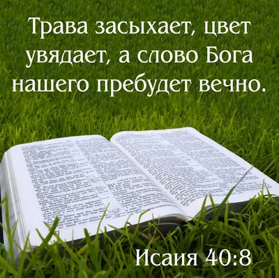 Пин от пользователя Татьяна на доске Утренние молитвы | Библия, Библейские  цитаты, Утренние молитвы