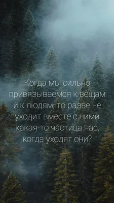 Цитаты про дружбу | Настоящие цитаты, Важные цитаты, Поддерживающие цитаты