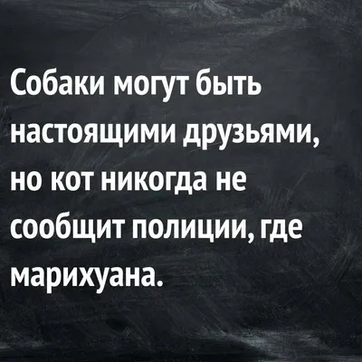 Геннадий Ветров: самые смешные цитаты - 7Дней.ру